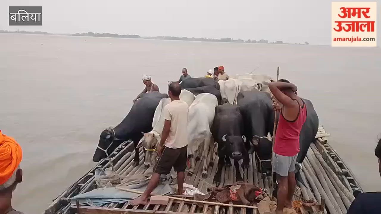 Saryu's furious form: a dozen villages submerged, river flowing half a meter above the danger mark