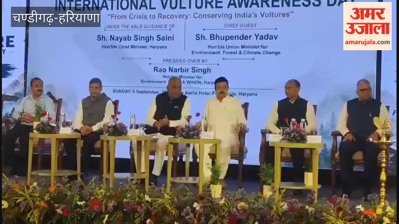 National workshop on vulture conservation begins.
