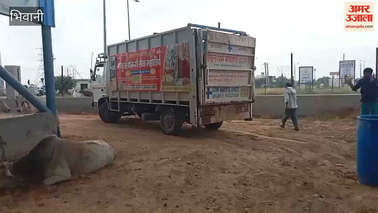 State-level isolation ward set up in Bhiwani for Lumpy-infected cattle; 175 affected animals admitted.