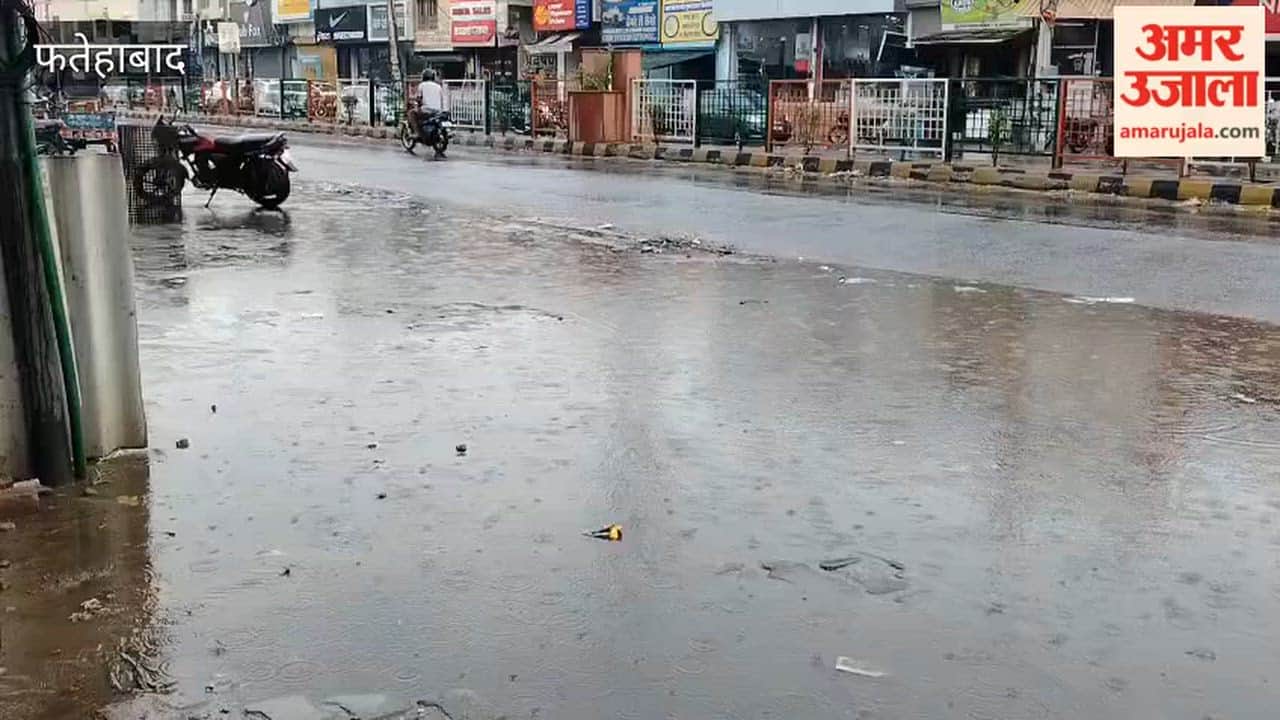 Weather changes in Fatehabad with 10 minutes of rain; garbage worsens the trouble