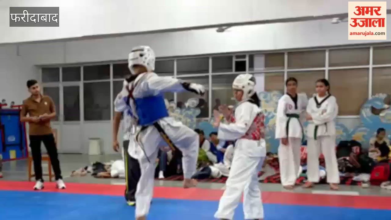 Faridabad's Mihika wins gold medal in Taekwondo; Ruhanika bags silver