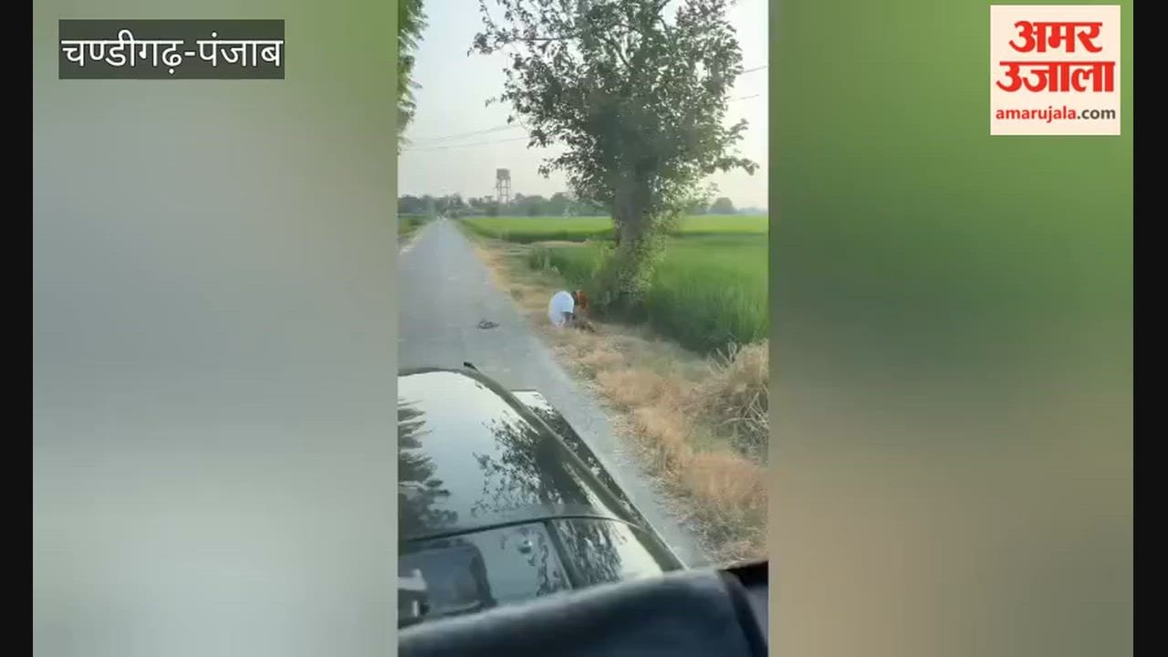 Video of an intoxicated youth in Dharamkot goes viral on social media.