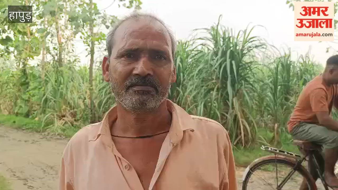 Thieves stole the line spanning 50 poles