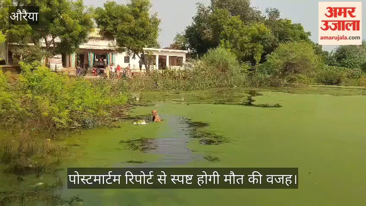 Auraiya: Body of elderly man found floating in pond in Atsu; he had been missing for two days.