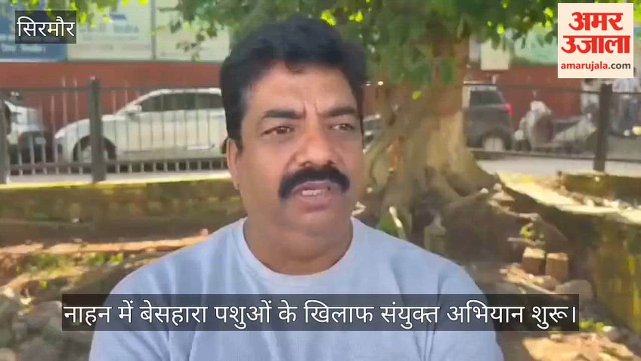 nahan stray cattle joint campaign nine caught