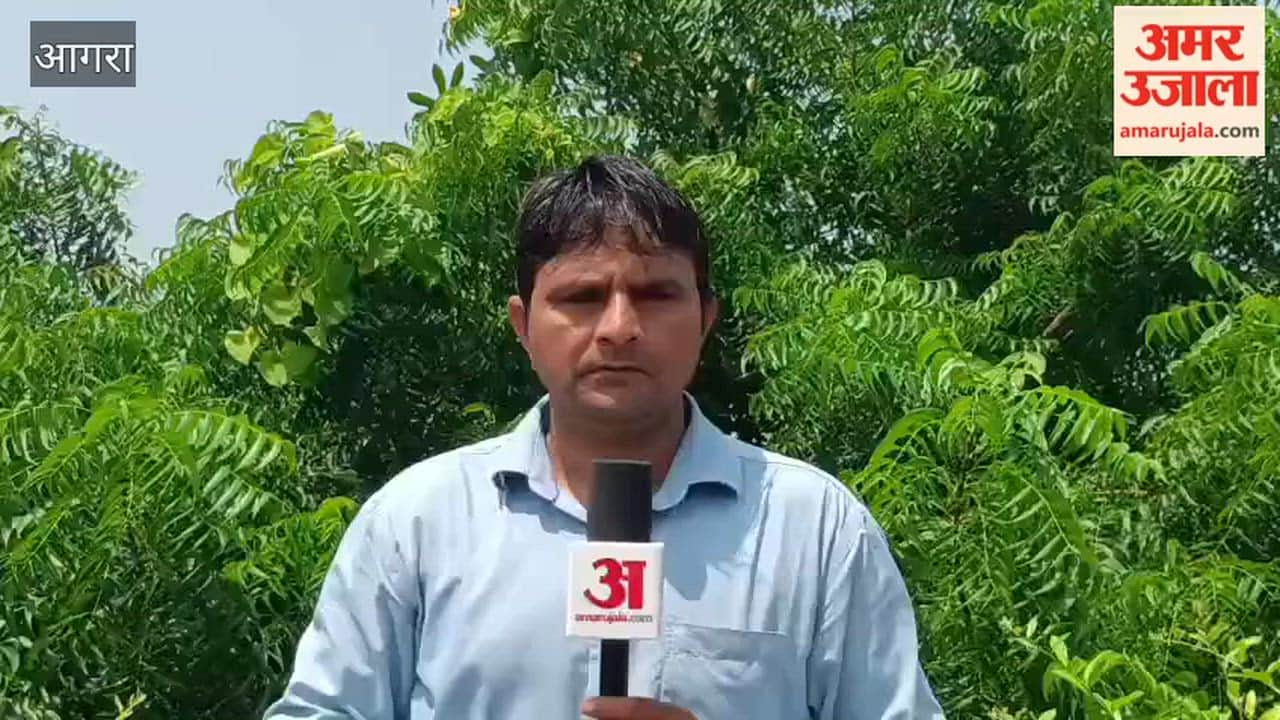 IMA Agra Elections on September 27, 1,748 Doctors to Cast Their Votes
