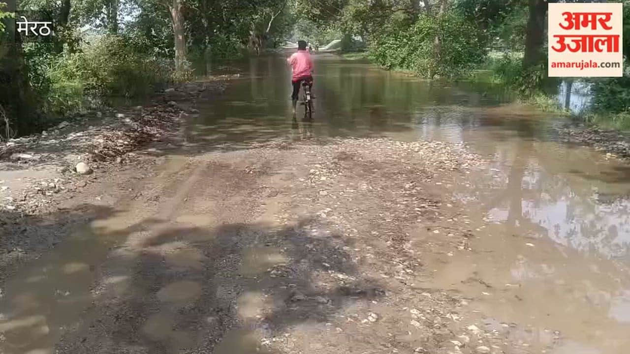 Hastinapur: Waterlogging at Bhimkund Tiraha After Rain, Mud Makes Commuting Difficult for Passersby