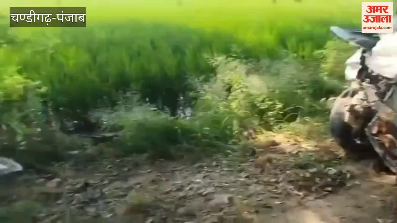 Three people died in a road accident