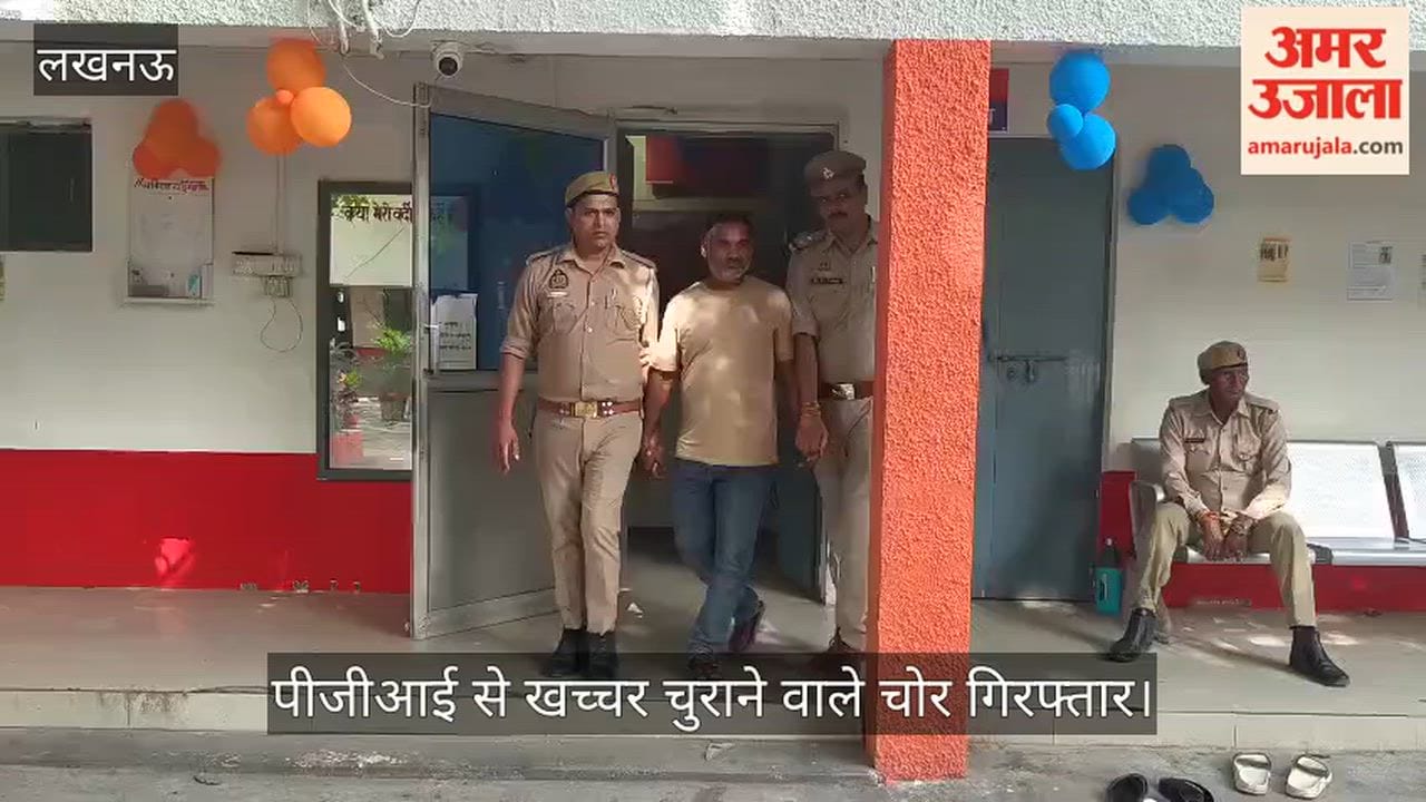 VIDEO: पीजीआई से खच्चर चुराने वाले चोर गिरफ्तार, आठ खच्चर बरामद