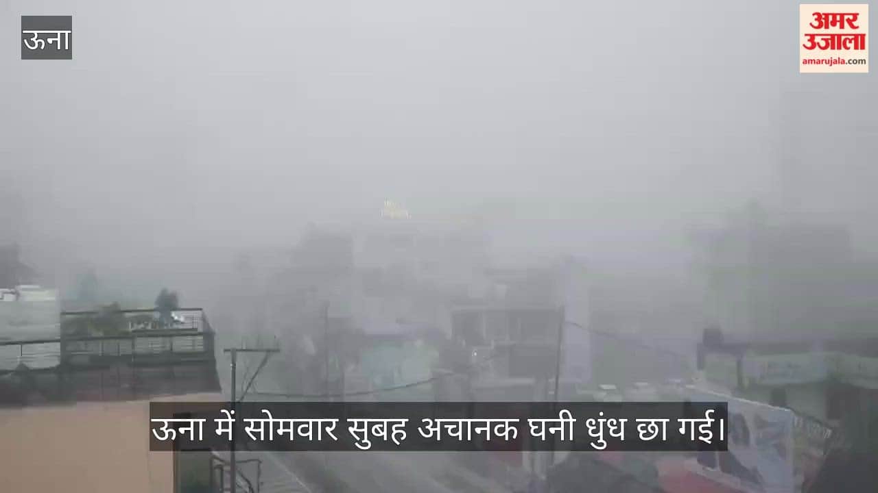 una dense fog low visibility vehicle lights weather