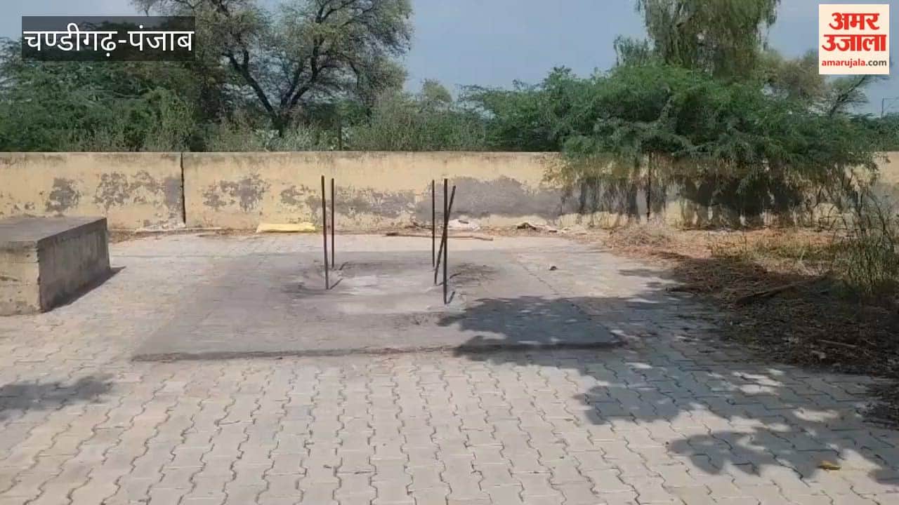 Artificial knees removed from deceased's body after cremation in Bathinda