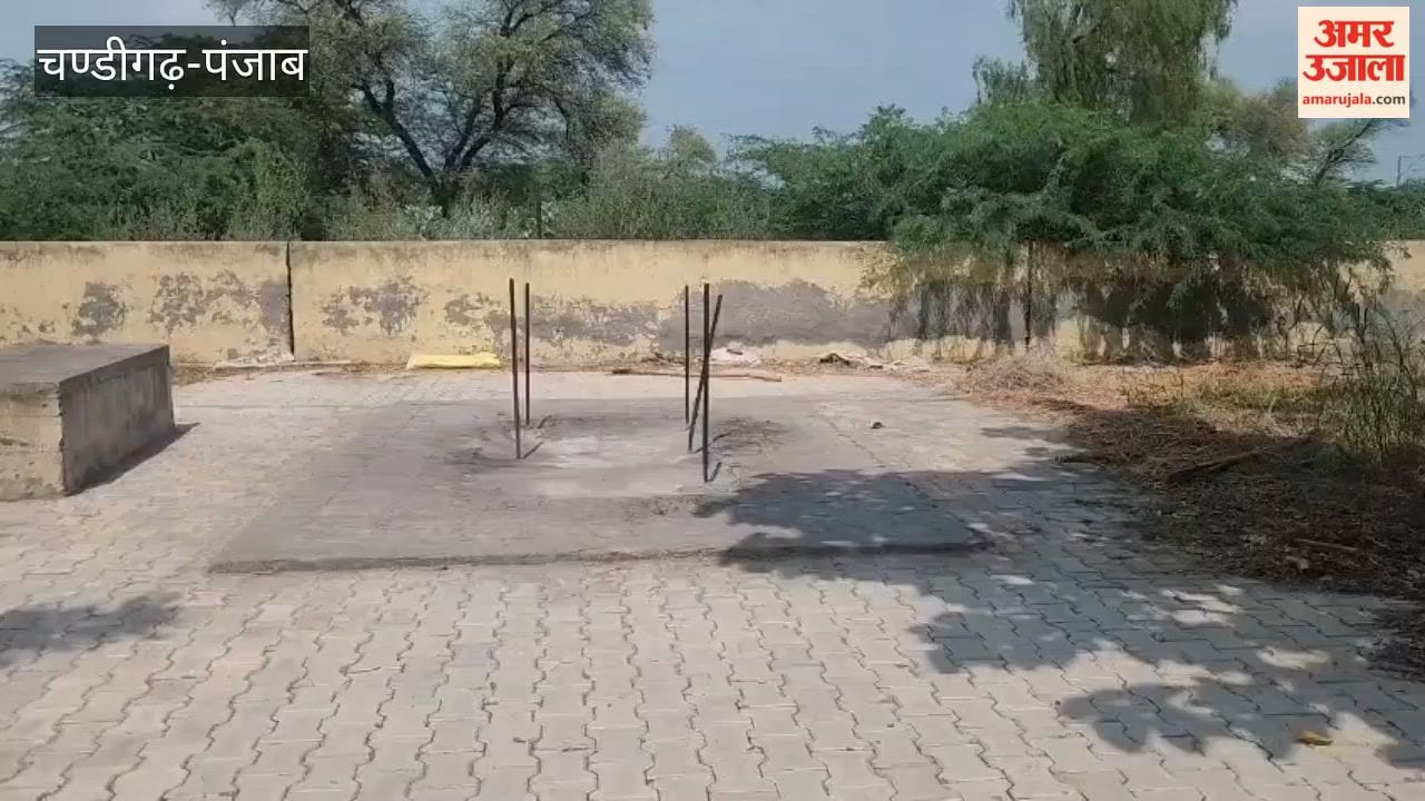 Artificial knees removed from deceased's body after cremation in Bathinda