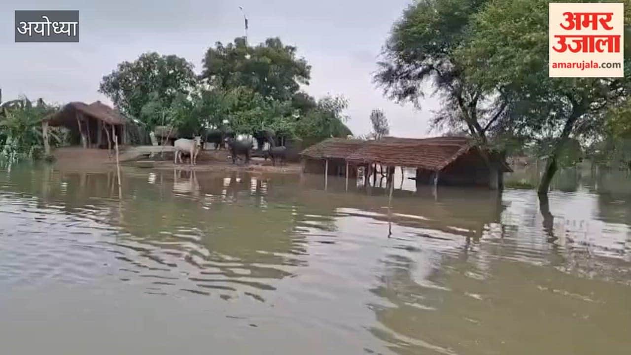 अयोध्या: सरयू का जलस्तर बढ़ा, फिर गहराया बाढ़ का संकट  खतरे के निशान से 31 सेंटीमीटर ऊपर पहुंचा पानी, ग्रामीणों में बढ़ी चिंता