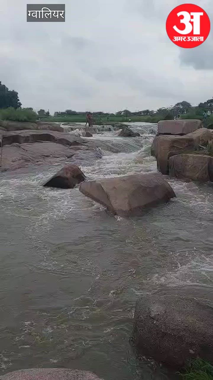 ग्वालियर: धूमेश्वर धाम में पिकनिक का मजा मातम में बदला, सिंध नदी में डूबने से बाइक मैकेनिक की मौत