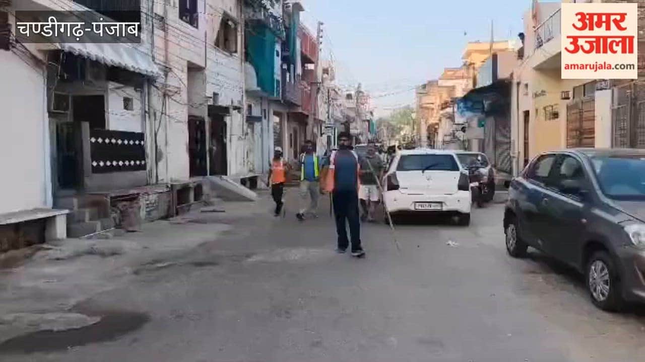 Cantonment Board swings into action after a dog attacks a child in Ferozepur Cantonment; begins catching stray dogs.