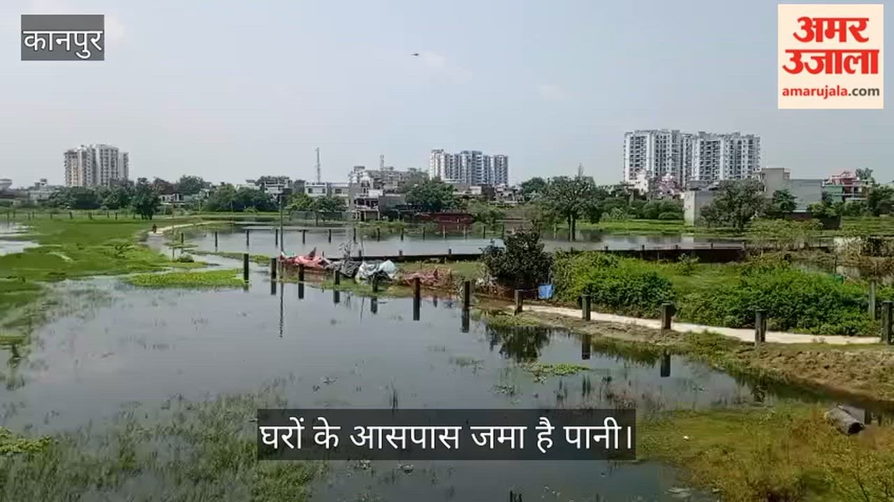 Kanpur Singhpur Surrounded by Waterlogging Drainage Fails Disease Risk Looms