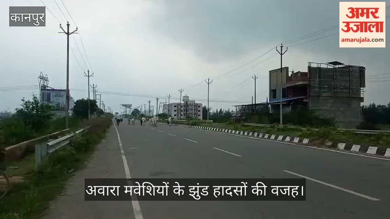 Kanpur Highway speed limit raised to 80 km/h stray cattle causing accidents