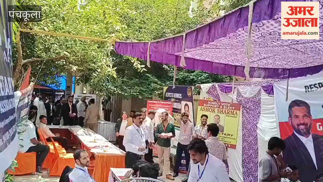 Enthusiasm witnessed in Panchkula District Bar Association elections.