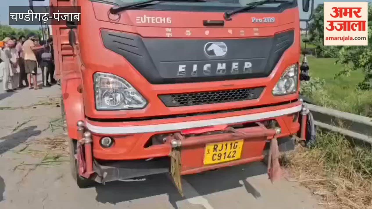 Truck stranded on Moga bypass for two days: Loaded with 16-17 cows; two died of hunger and thirst.