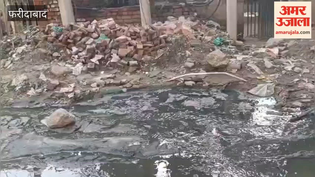 Residents of Faridabad Sector-23 grappling with sewer problems for four years