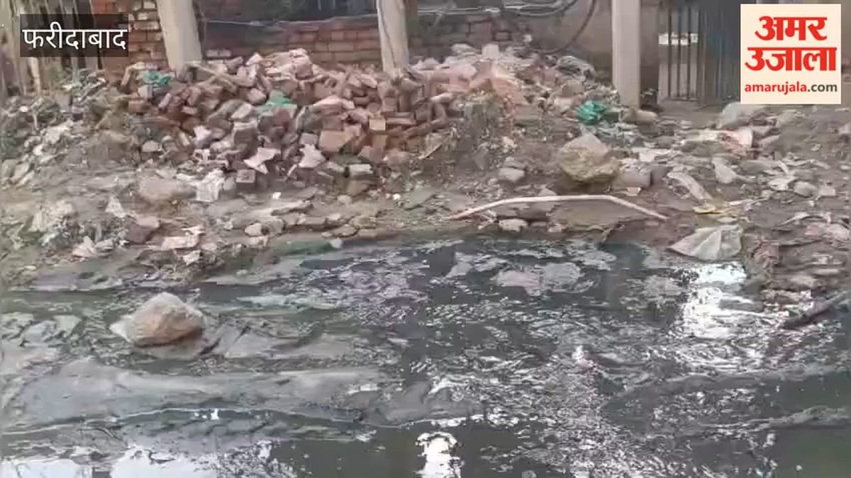 फरीदाबाद नगर निगम की अनदेखी: सेक्टर-23 में चार साल से सीवर समस्या से जूझ रहे निवासी, कब होगा समाधान?
