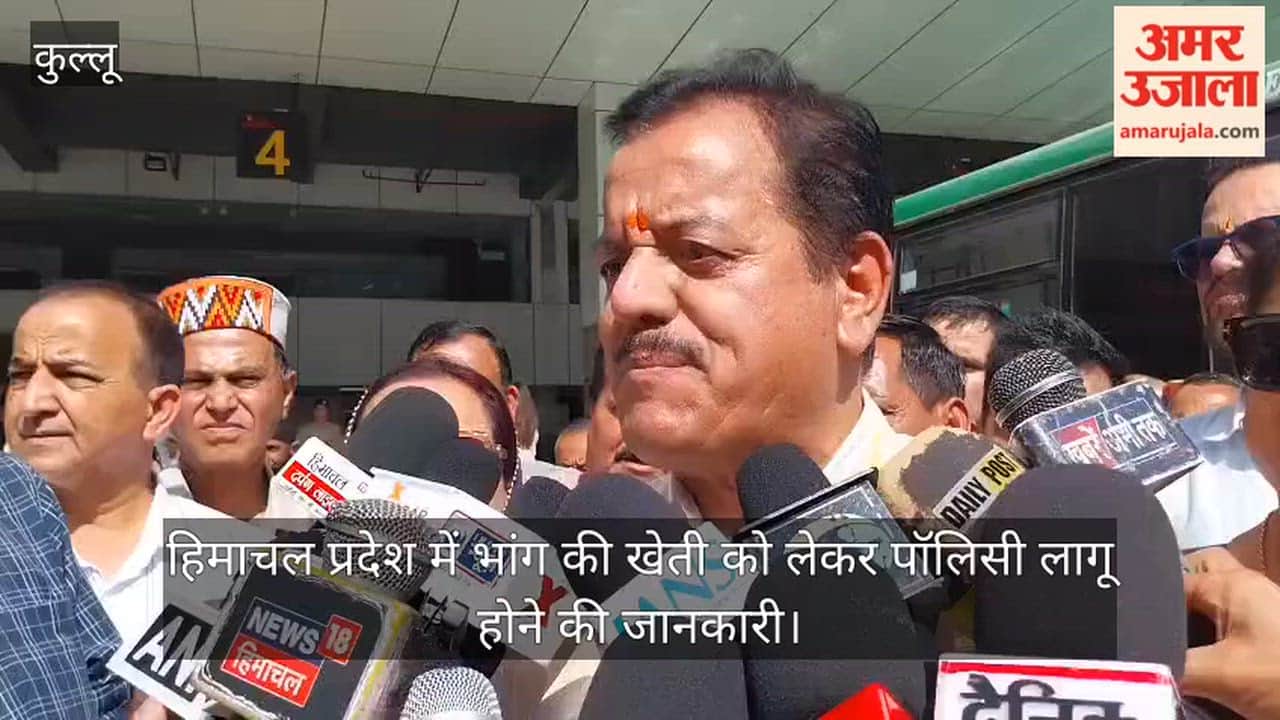 himachal hemp cultivation policy apply one bigha 1000 kullu