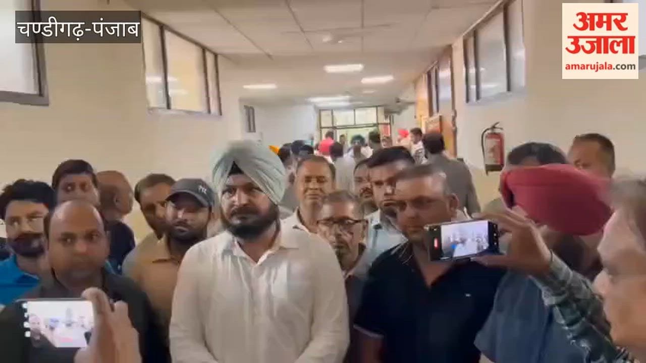 Punjab govt will arrange for the treatment of a child injured in a dog attack in Firozpur