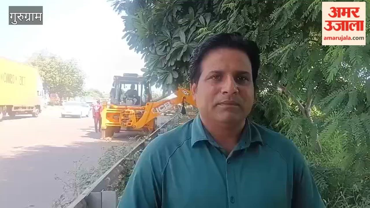 Colorful flowering plants will be planted in the open spaces along NH-48 in Gurugram