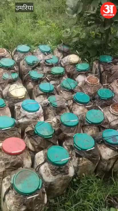 ₹2.87 Lakh Worth of Illegal Liquor Seized in Umaria, Major Excise Department Crackdown