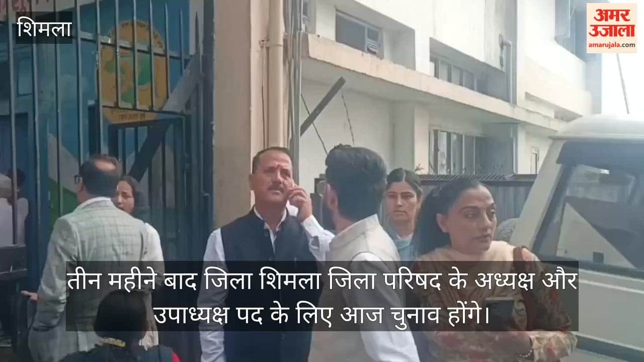 shimla zila parishad election president vice president after three months
