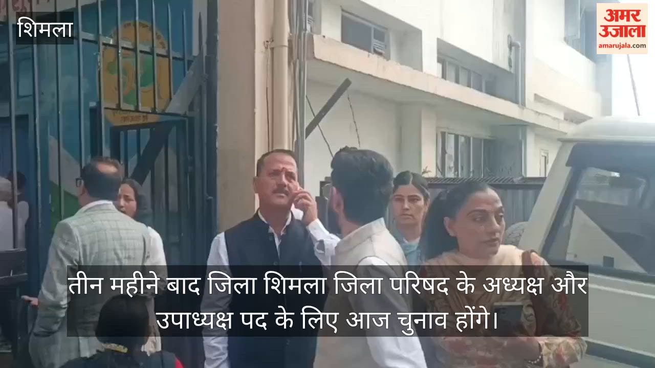 shimla zila parishad election president vice president after three months