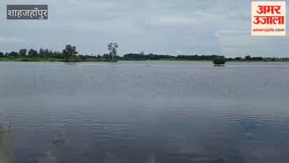 Rainwater floods Gomti River crops submerged, farmers in distress