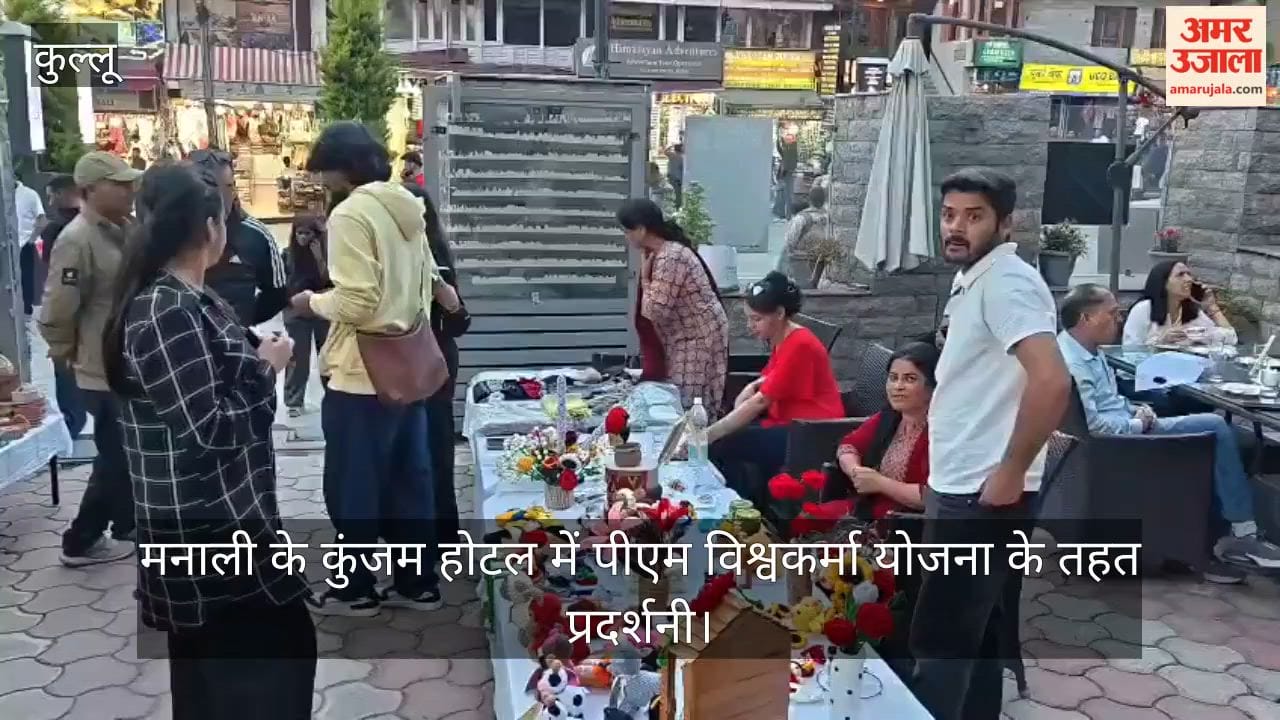 manali handicraft products pm vishwakarma exhibition tourists first choice