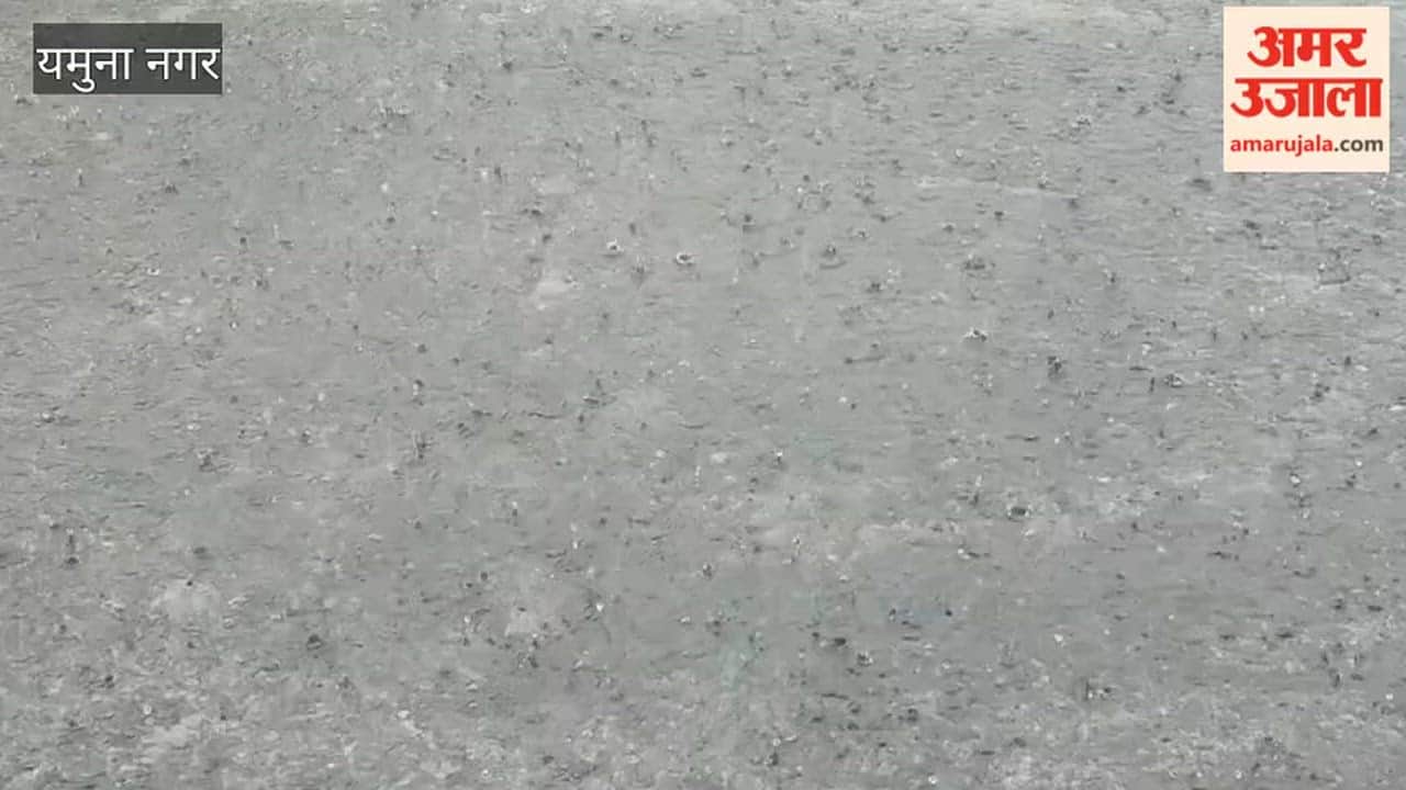 Rain brings relief from sultry heat in Yamunanagar; weather turns pleasant.