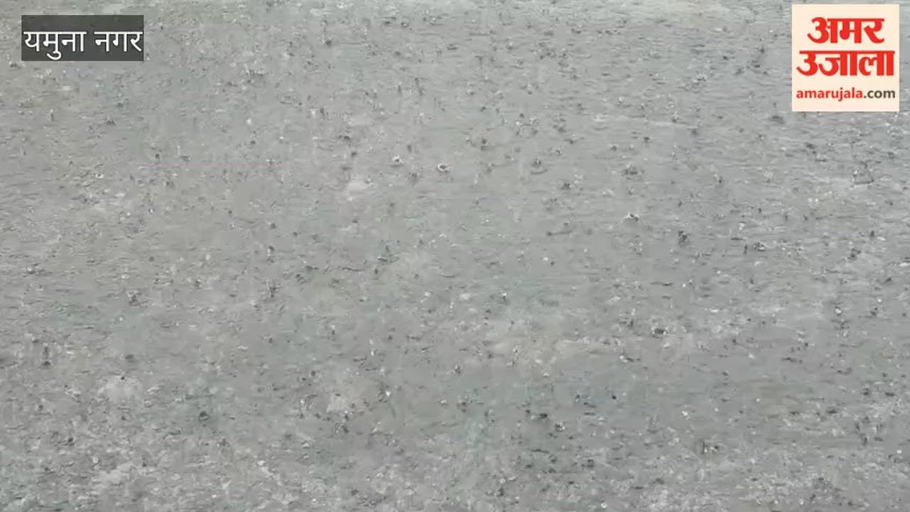 Rain brings relief from sultry heat in Yamunanagar; weather turns pleasant.
