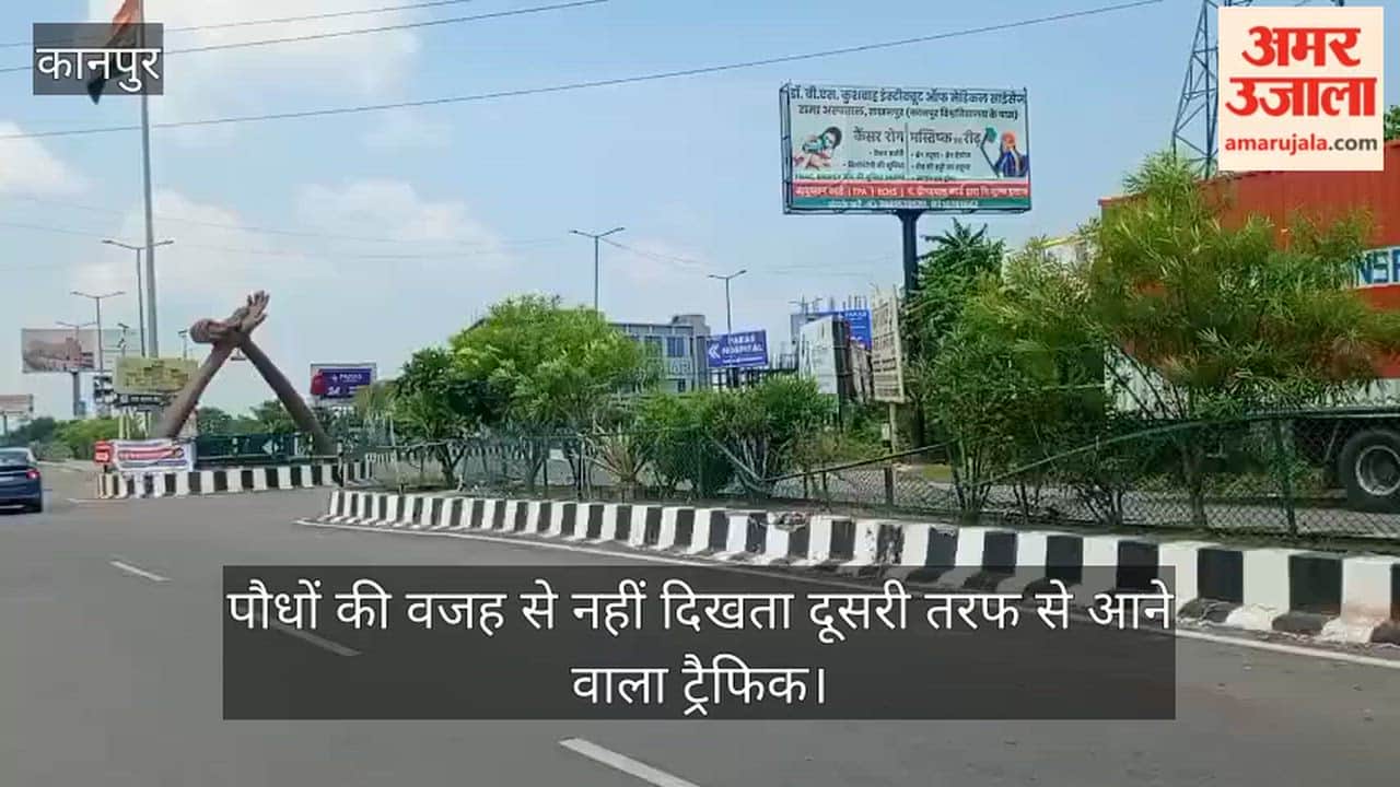 Kanpur Beautification related greenery at Yash Kothari Crossing on Barrage Highway causing accidents