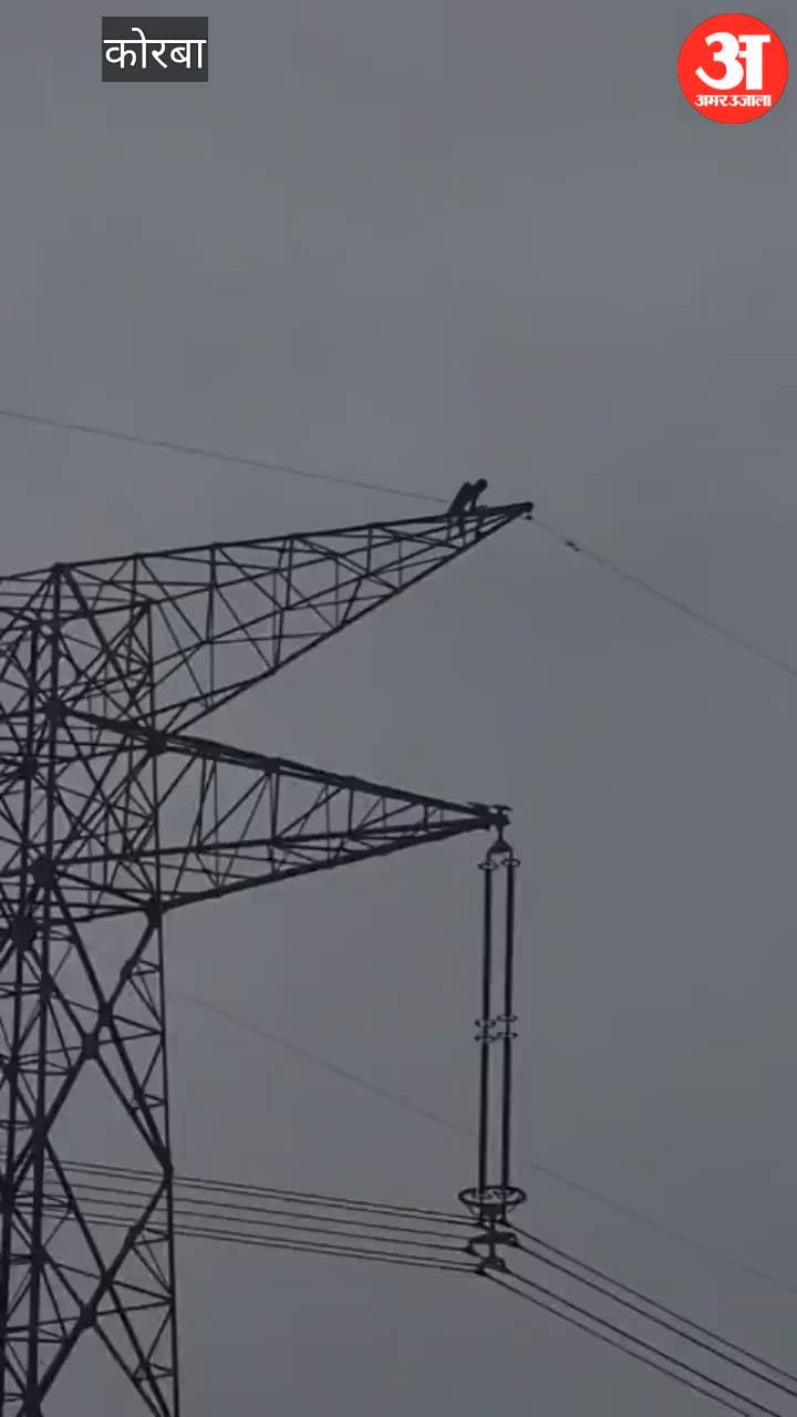 Dev Singh climbed 150-feet high-tension tower in Korba's Barkona village, created 7-hour high-voltage drama,