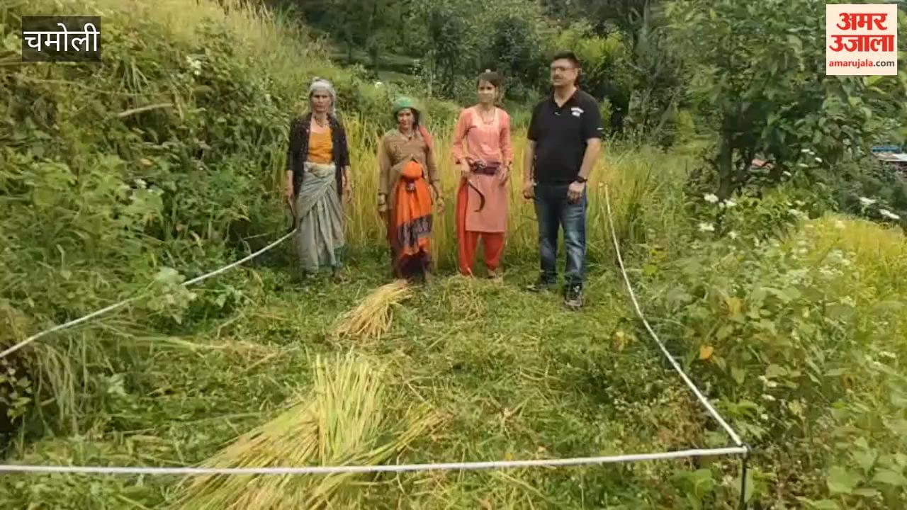 Pokhari: Production of paddy, jhangora, and mandua to be determined through crop cutting in the fields