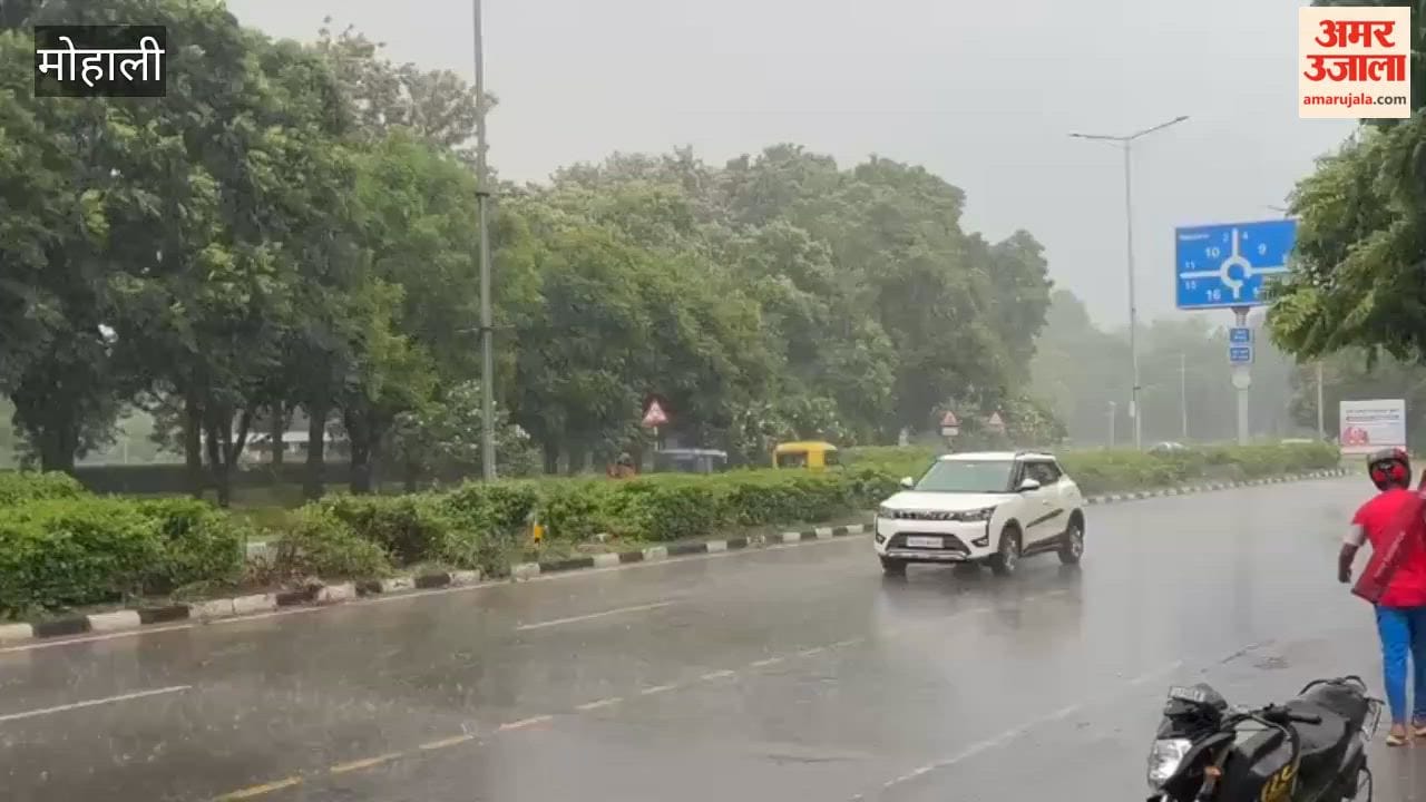 Rain in Chandigarh