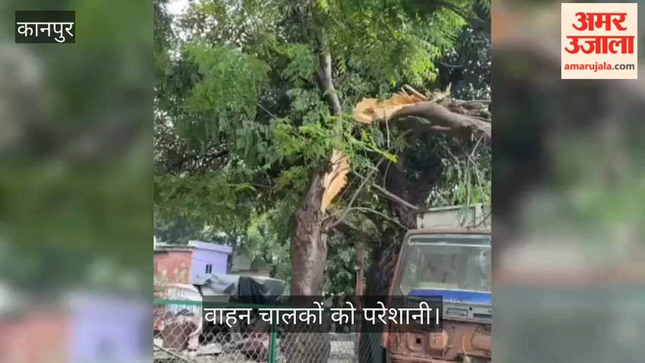 Tree Falls on Road Between Bagahi Outpost and Kidwai Nagar Chauraha, Traffic Affected