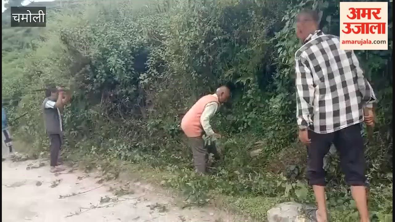 Pokhari: Roadside bushes were blocking the way; PWD has initiated clearing operations