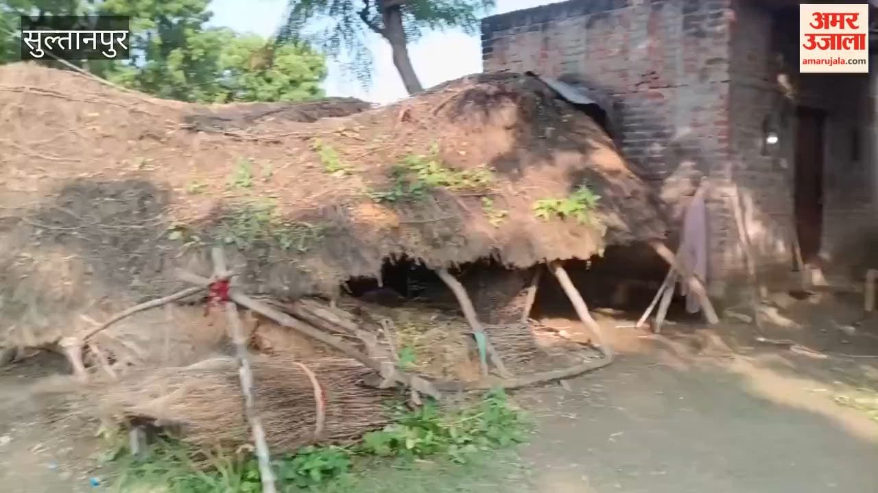 सुल्तानपुर में वृद्ध महिला का शव मिला, भतीजे ने जताई हत्या की आशंका