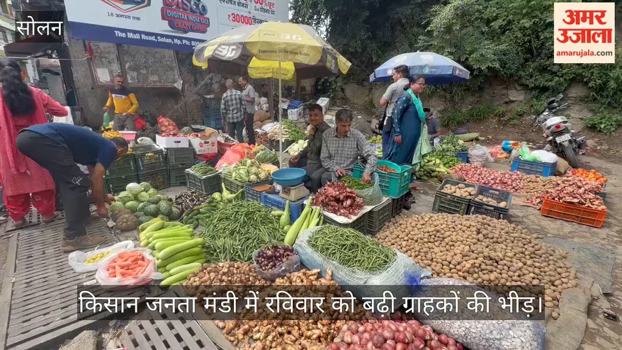 solan kisan janata mandi onion price fall