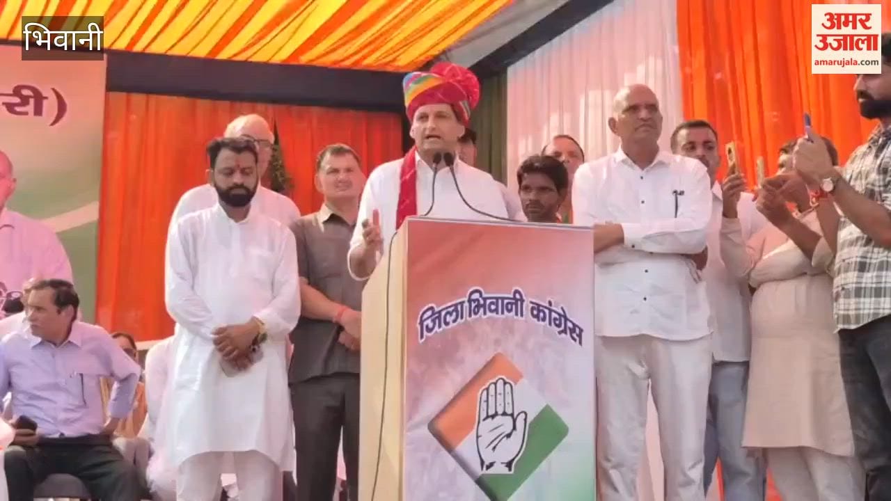 Deepender Hooda said the Congress is observing an 'Organization Building Year', and cadre expansion will strengthen the party.