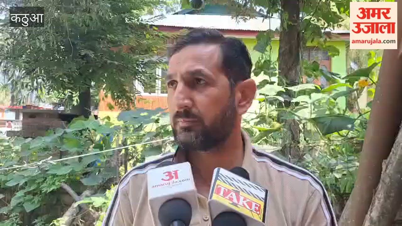 New hope for horticulture in Bani; walnuts set to gain recognition