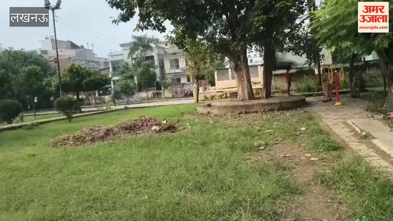 लखनऊ में रात 1.30 बजे तक जाग रहा था रवि, सुबह पार्क में फंदे से लटका मिला शव