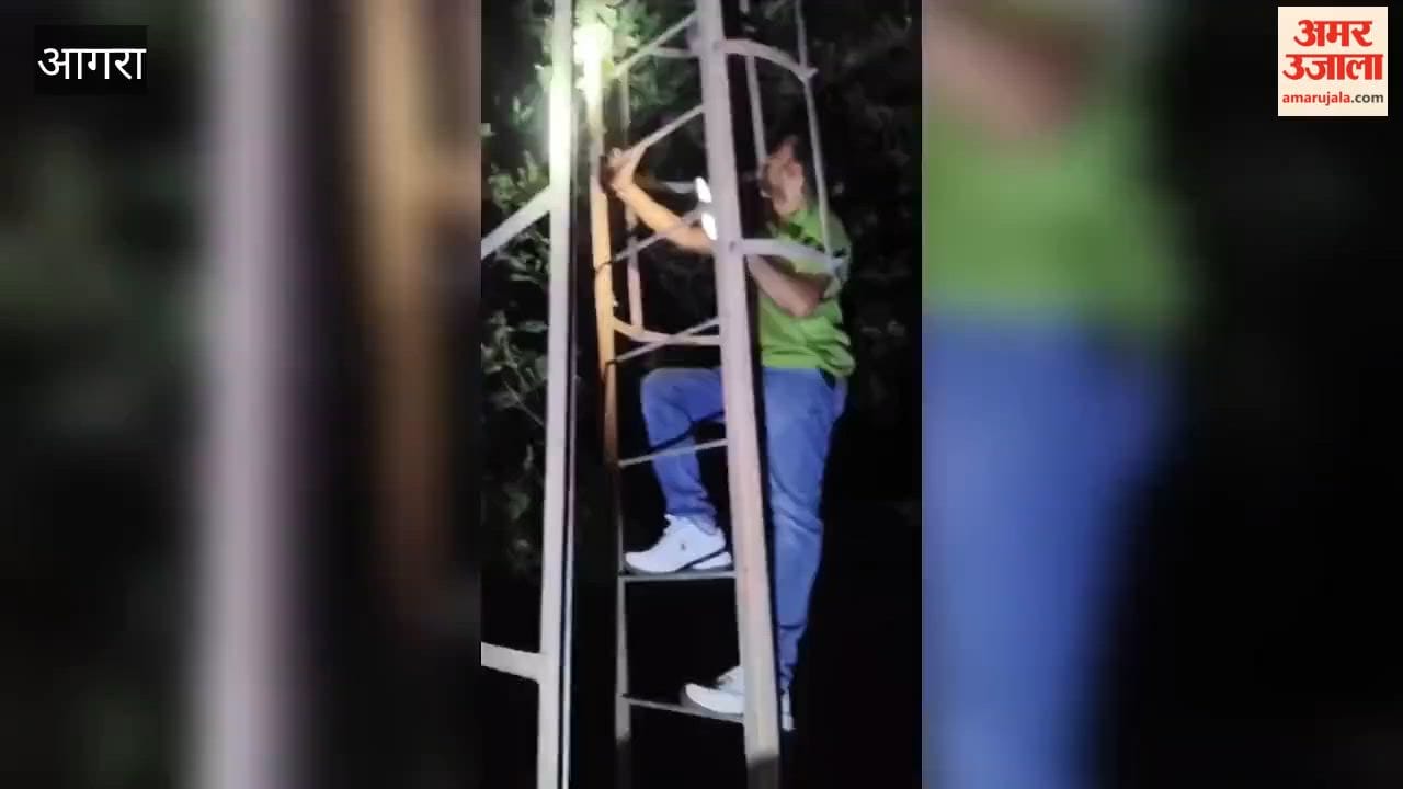 A young man perched 150 feet up a tower began dozing off; late at night, his family brought him down with the help of the fire brigade.