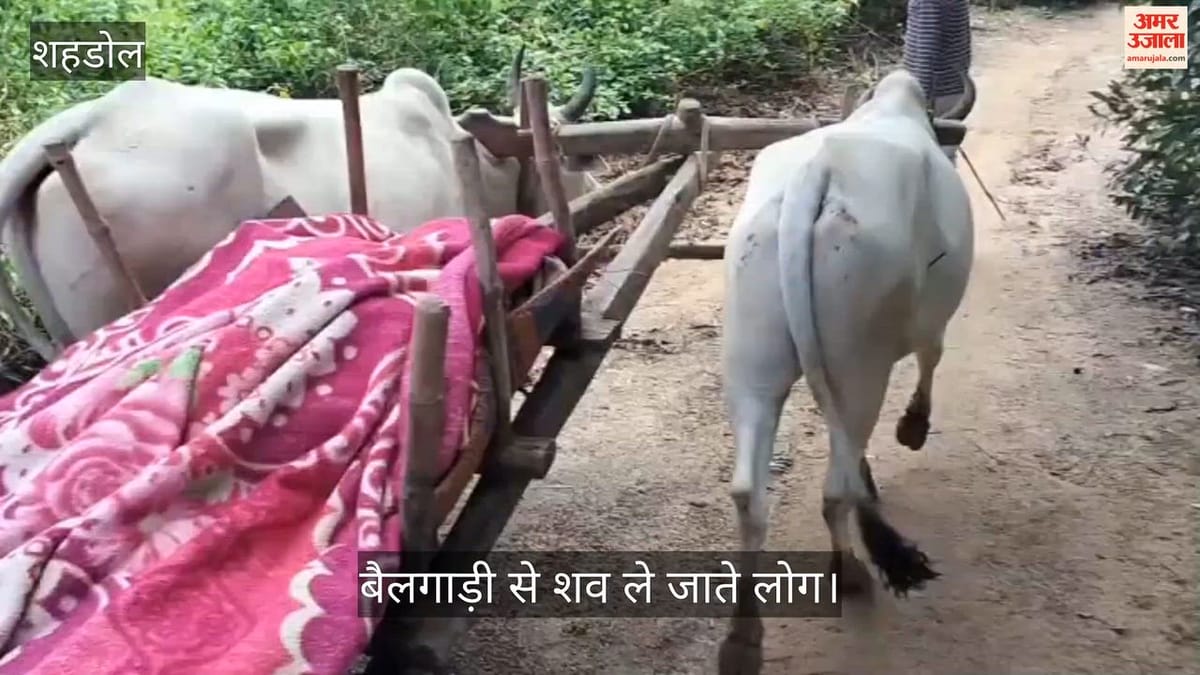 शहडोल: विकास के दावों की निकली हवा, सड़क नहीं होने से एंबुलेंस फंसी, बैलगाड़ी पर शव ले जाने को मजबूर ग्रामीण