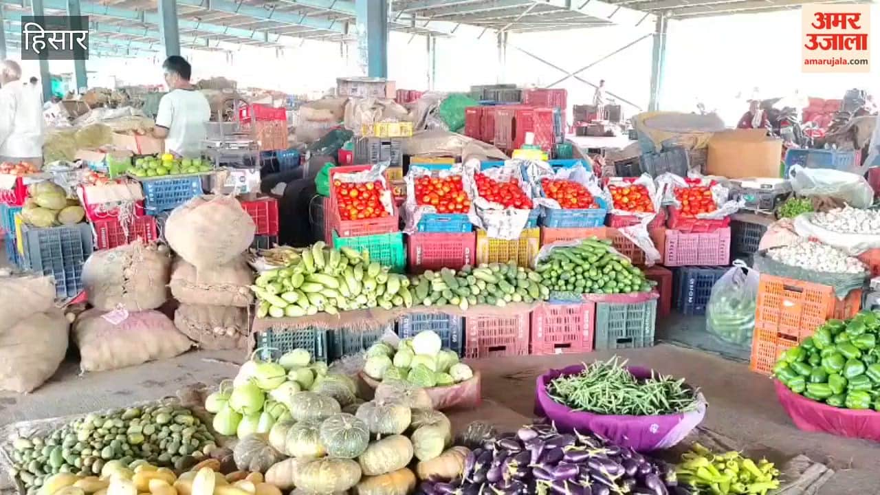 Rain disrupts kitchen budget; prices of onions, tomatoes, and garlic rise in Hansi.
