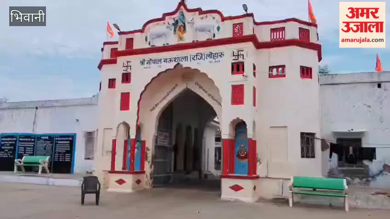 'Goraksha Dal' steps forward to look after stray cattle in Bhiwani.